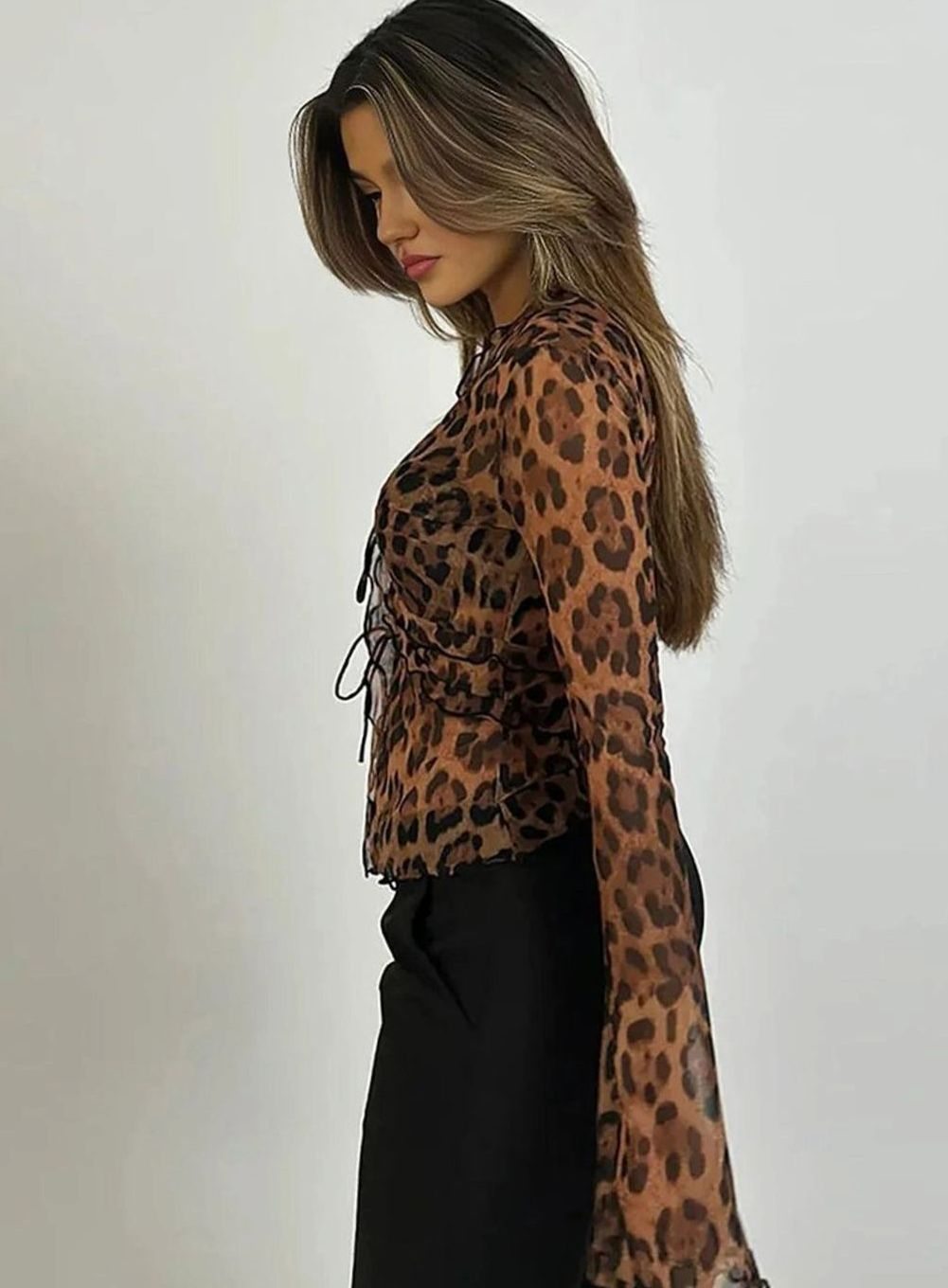 Women's Sheer Leopard Print Tie-Front Long-Sleeve Blouse